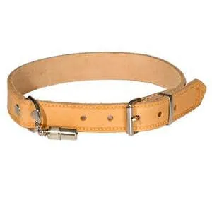 Leather Dog Collar (Classic)