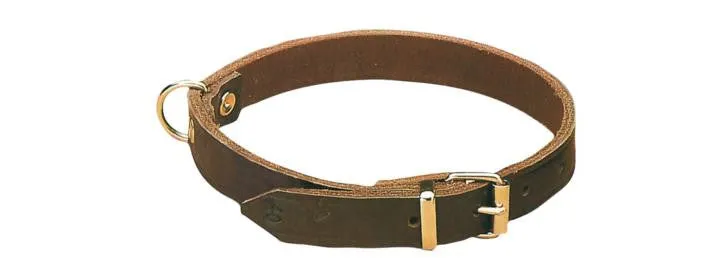 Leather Dog Collar (Classic)